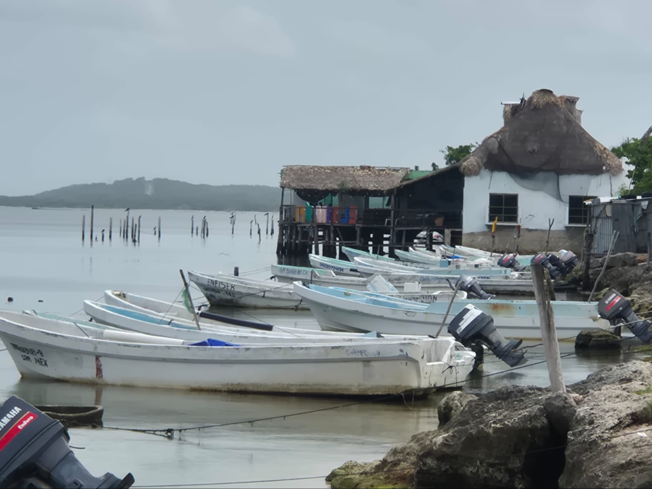 Los volúmenes de captura pesquera se mantienen en niveles bajos en el puerto de Champotón.