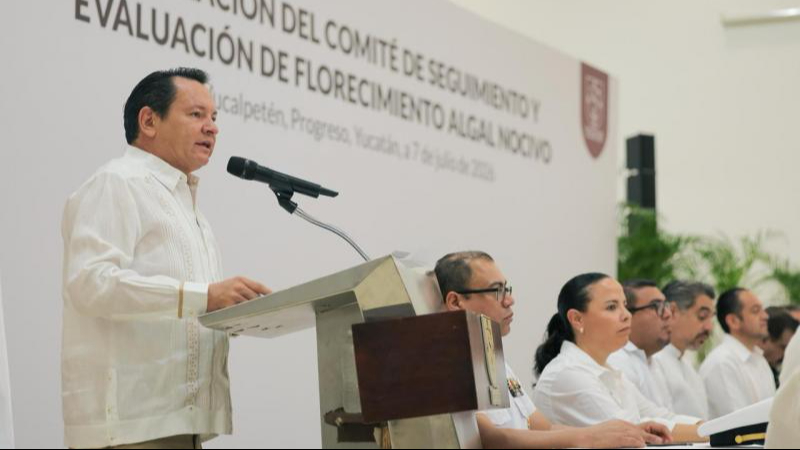 Yucatán blinda sus costas con monitoreo permanente de la marea roja