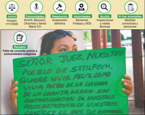 Ponen bajo lupa a granjas porcícolas: