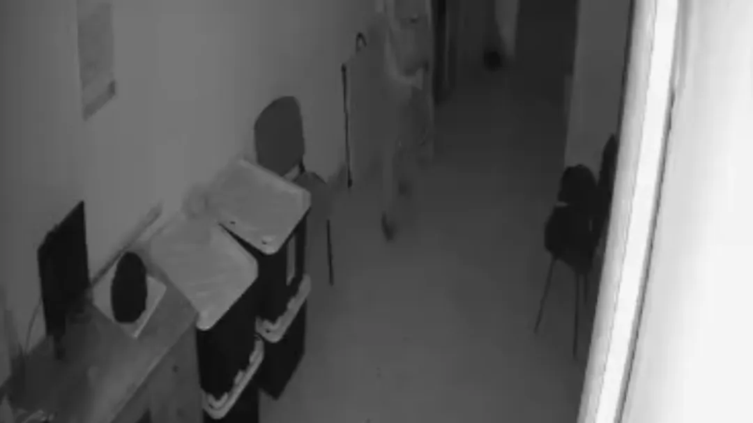 Vecinos de la zona señalaron que un hombre con características similares al que aparece en la evidencia presuntamente ha sido visto durante las noches en los alrededores de la colonia 234