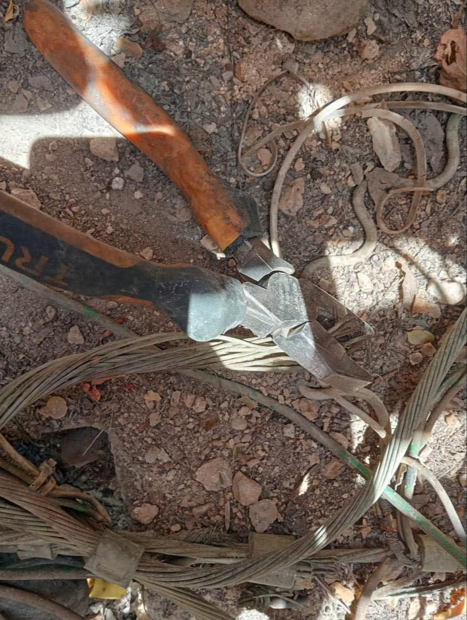 Habitantes de Xcacel, Misión de las Flores y Las Palmas I se quedaron sin electricidad durante la noche del lunes
