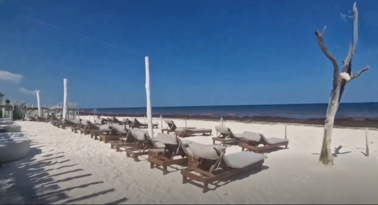 Hoteleros de la Riviera Maya analizan operar solo en los meses que no hay talofita