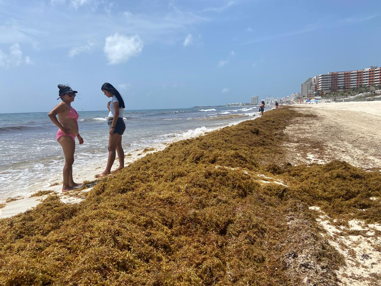 Las consecuencias abarcan el ámbito ecológico y de salud pública