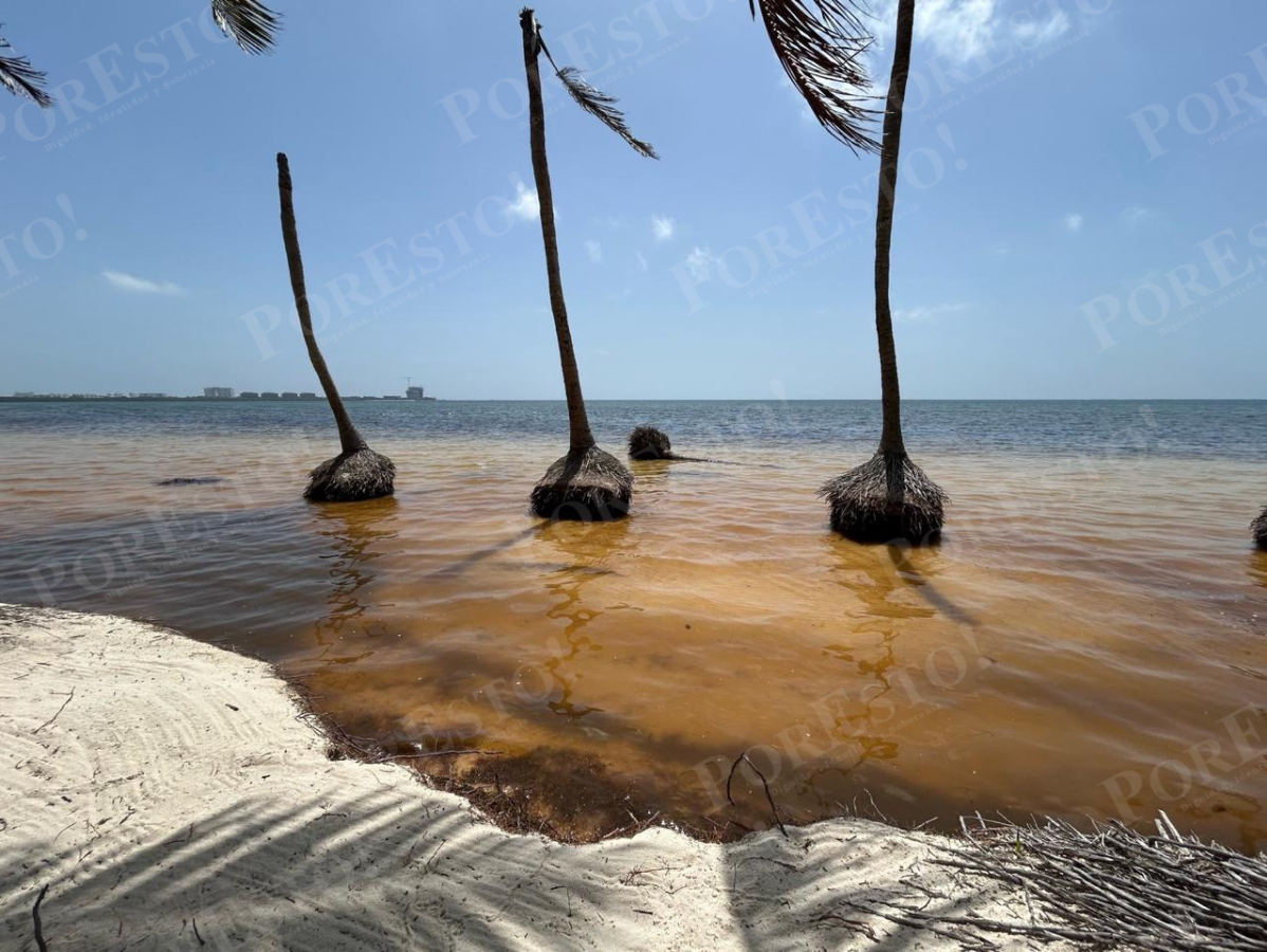 Algunas franjas de Quintana Roo enfrentaron una reducción superior a la habitual.