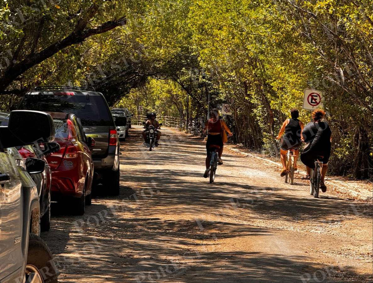 Ambientalistas y ciudadanos cuestionaron el uso de material pétreo y maquinaria pesada en una zona rodeada de manglar