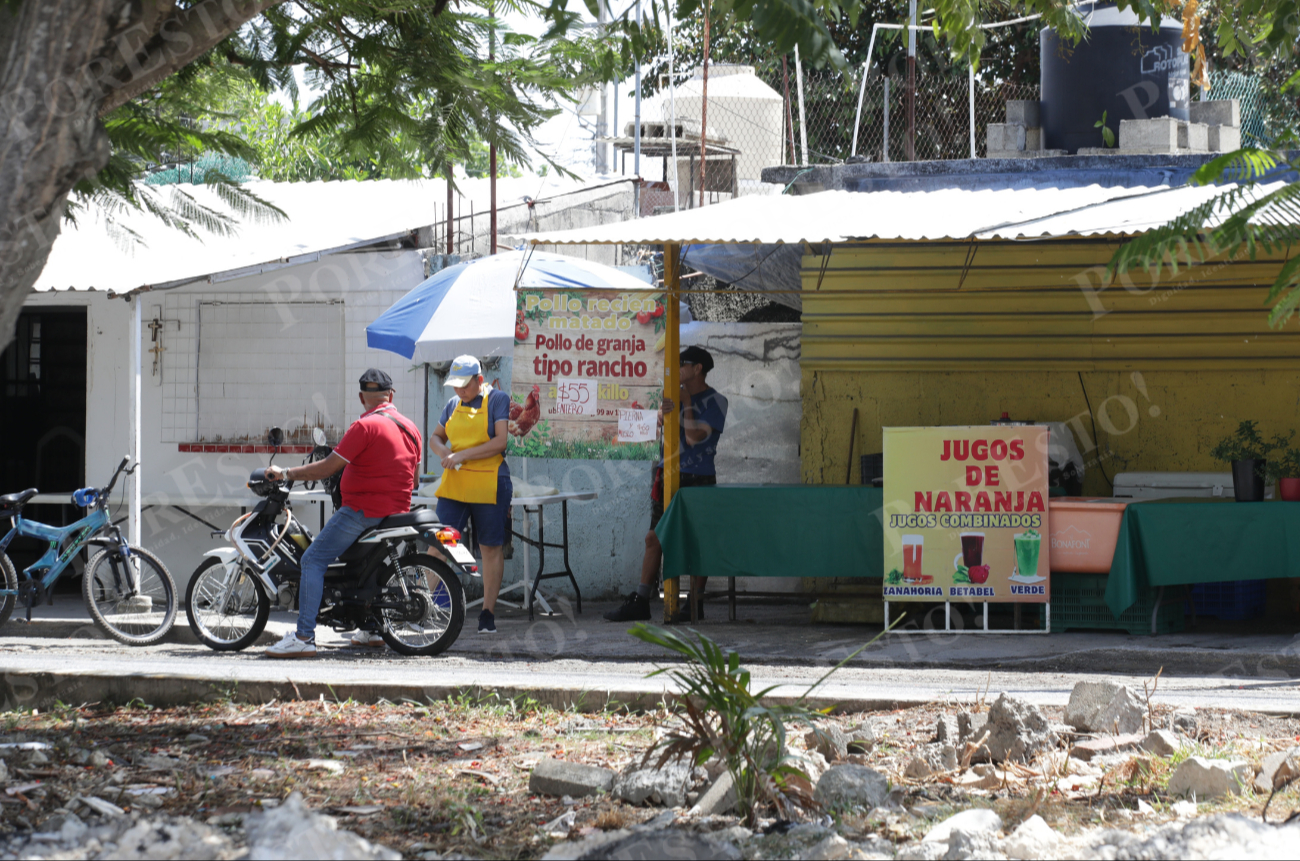 Aunque muchos incursionan en un negocio propio, lamentan la falta de seguridad social