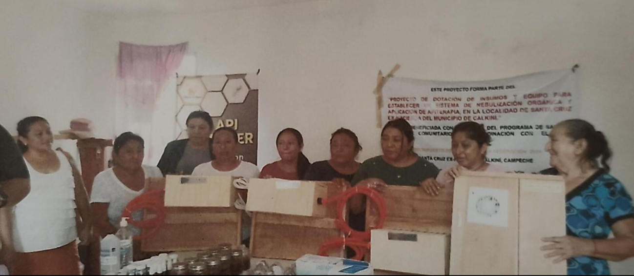 Mujeres de Santa Cruz ex Hacienda impulsan un proyecto de oxigenación y terapias con abejas.