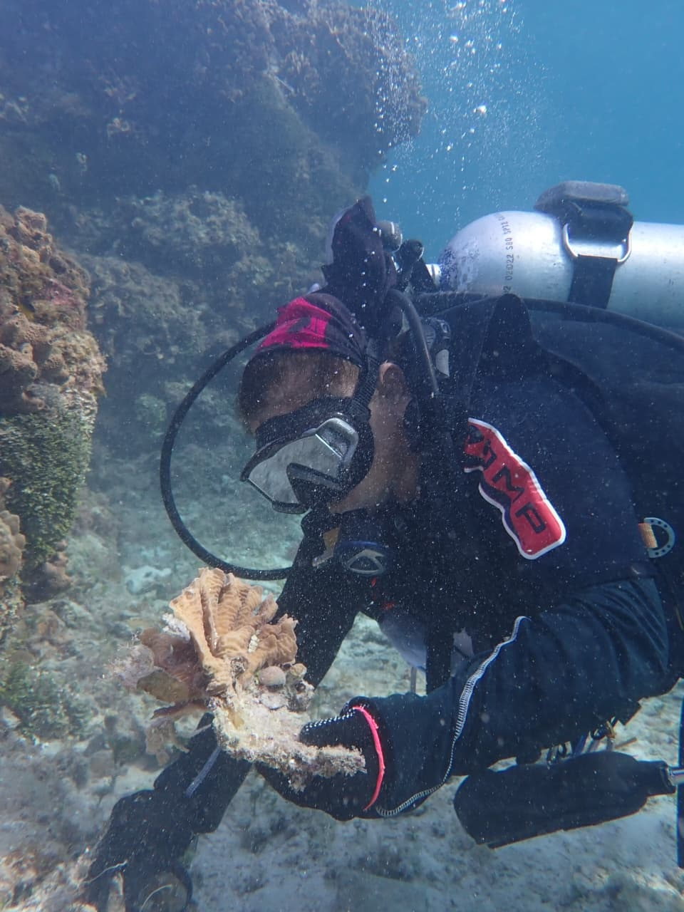 Otras amenazas para  el ecosistema marino  son la contaminación,  la presencia del pez  león y malas prácticas de snorkel