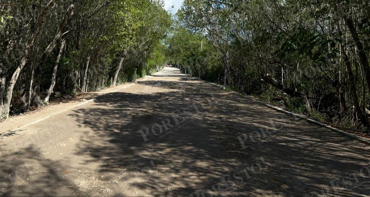 Vecinos y activistas ambientales cuestionaron que la obra no haya sido sometida a consulta ciudadana