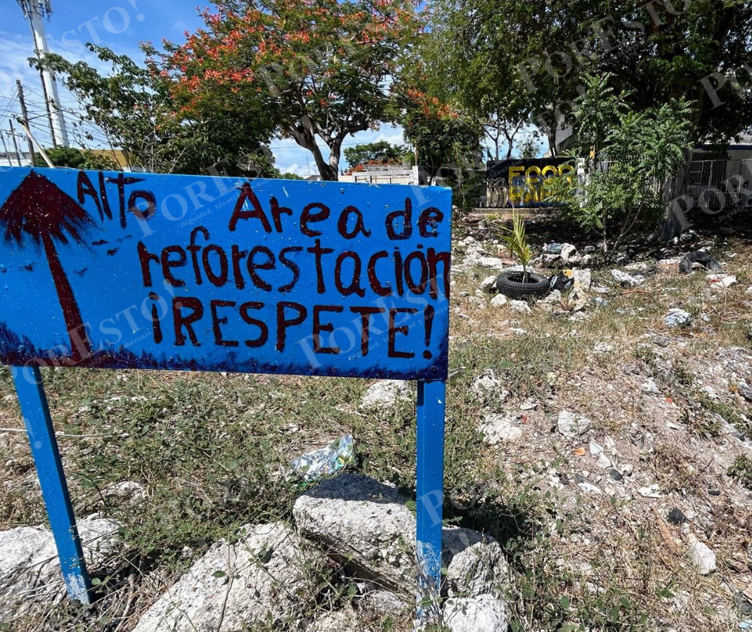 En Nicolás Bravo y Caobas se plantarán especies nativas para restaurar áreas afectadas por incendios y degradación del suelo