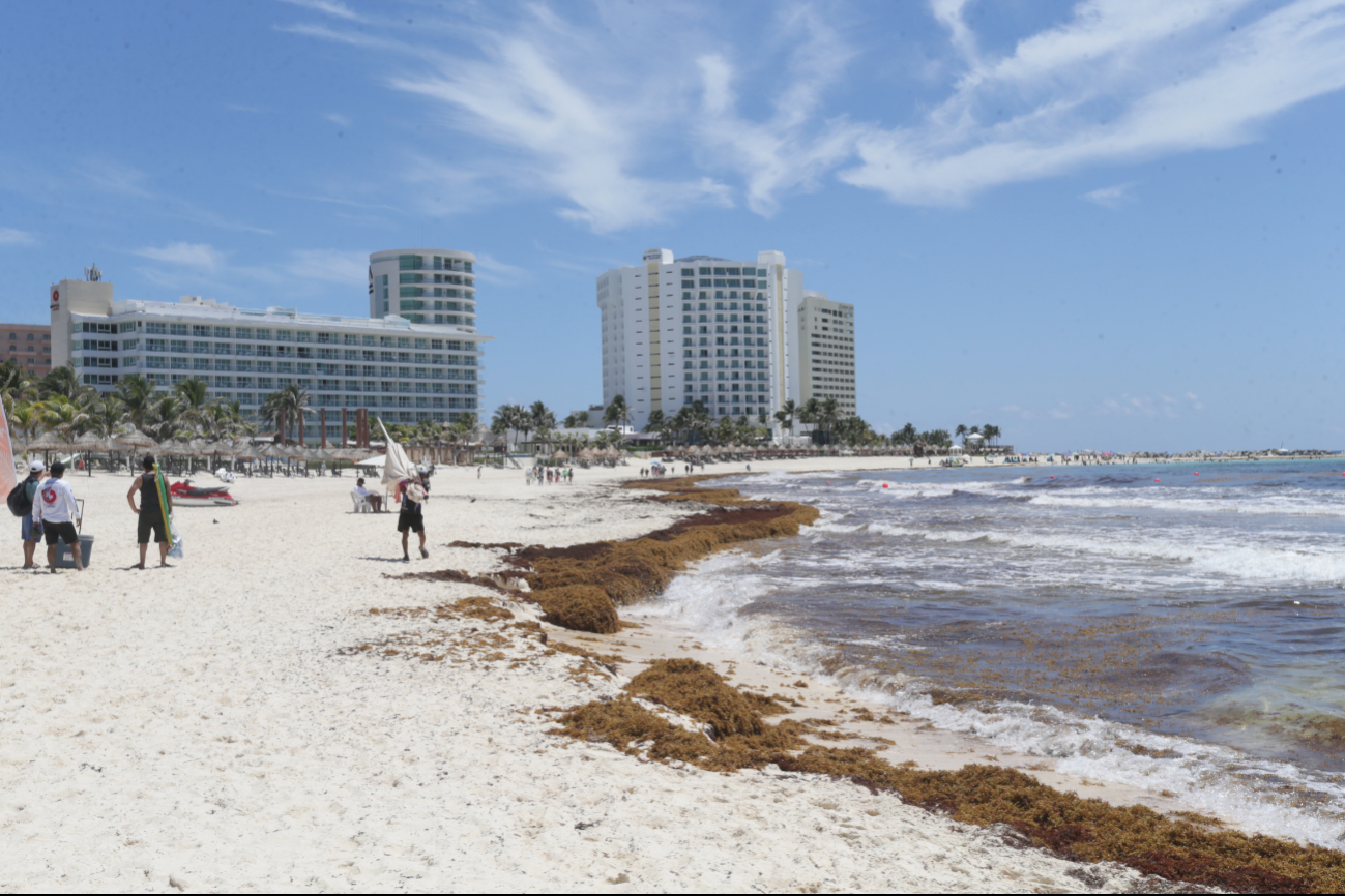 Quintana Roo prevé 119 mil toneladas en 2026