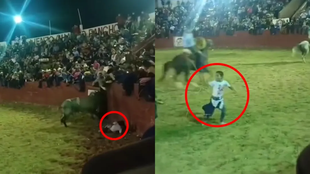 Niña cae al ruedo frente a un toro en Panchocot y el video muestra los momentos de terror
