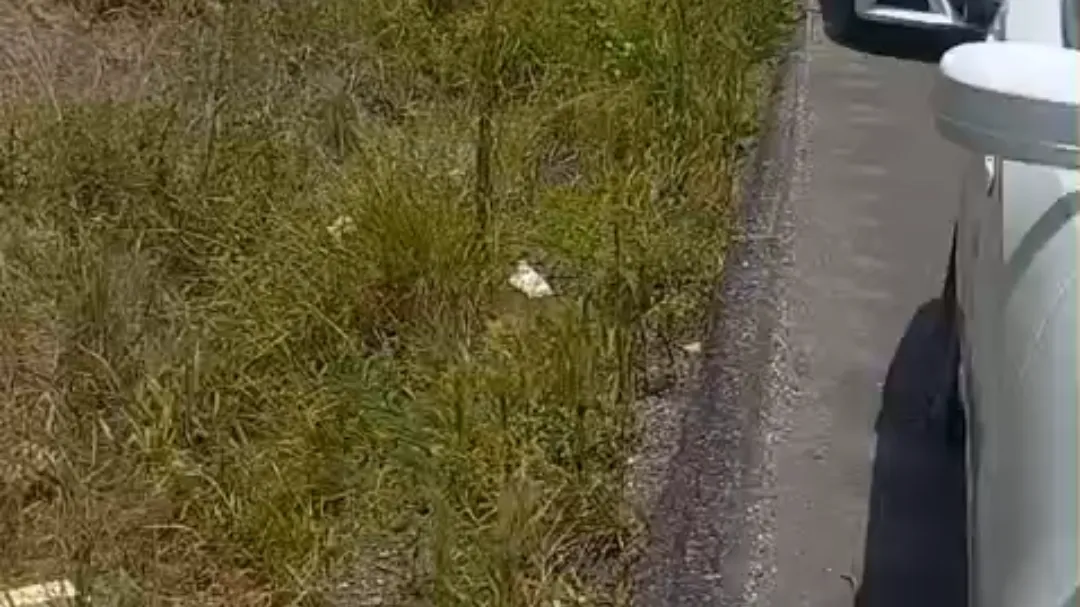 Van turistica se sale de la carretera