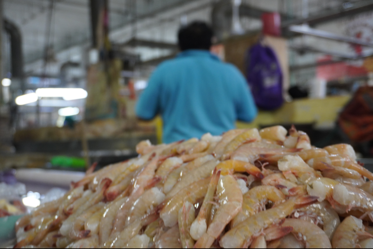 Exportación de camarón bajó en Campeche