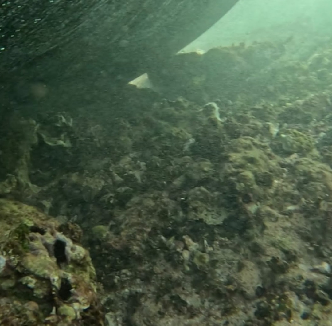 La embarcación “Isla Caribe 3” permanece encallada a pocos metros de la costa de Mahahual tras sufrir una falla mecánica