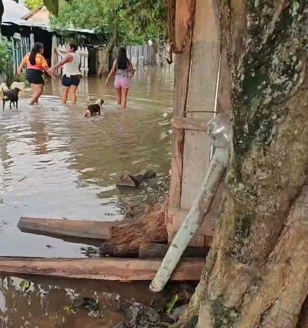 Casas inundadas y riesgo sanitario: Kilómetro 36 enfrenta situación crítica