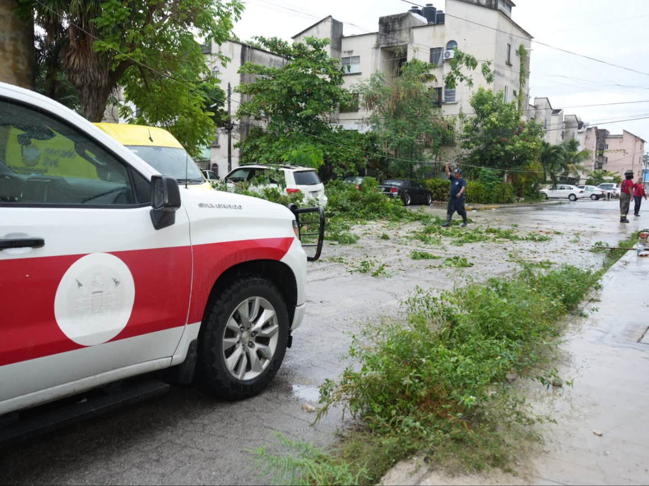 Bomberos atendieron la caída de un árbol en la Región 95 como parte del Operativo Tormenta