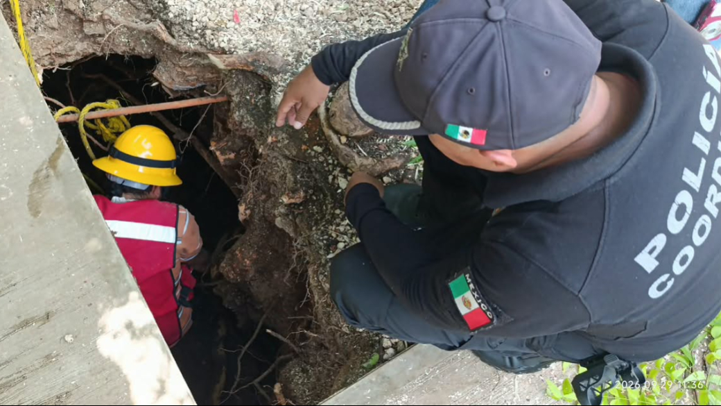 El socavón detectado en una primaria de Ticul podría extenderse debajo del domo