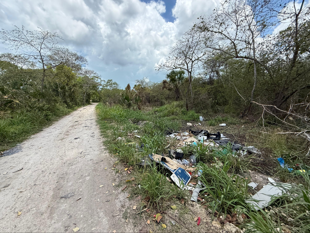 Vecinos de Champotón denuncian persistentes tiraderos clandestinos en la vía pública.