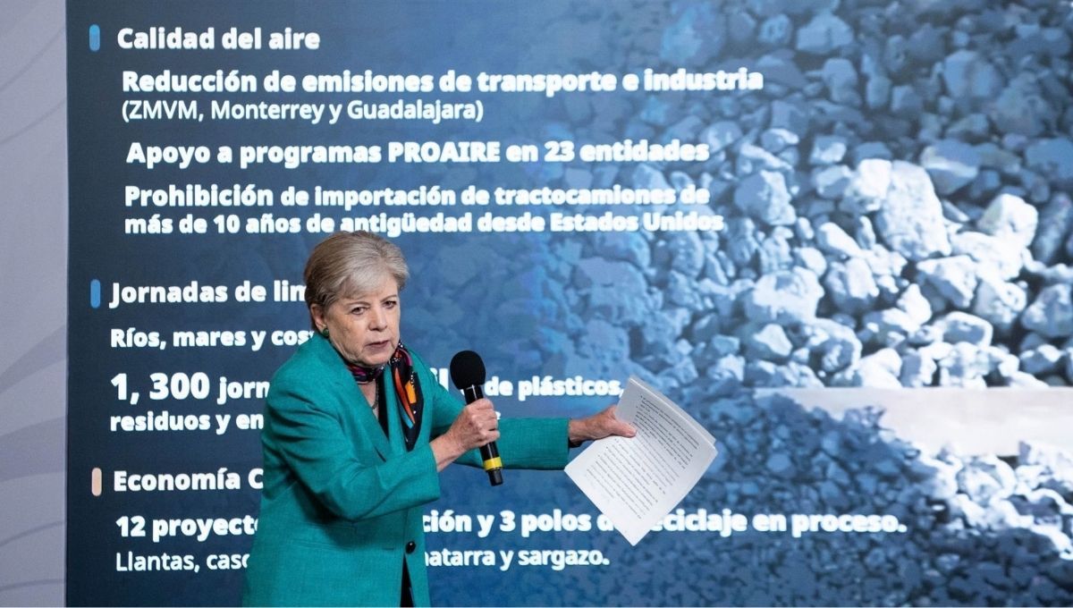 Alicia Bárcena Ibarra, secretaria de Medio Ambiente y Recursos Naturales