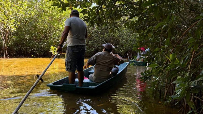 Habitantes de Sisal y Chabihau recibirán $600 diarios por tres meses de labores ambientales