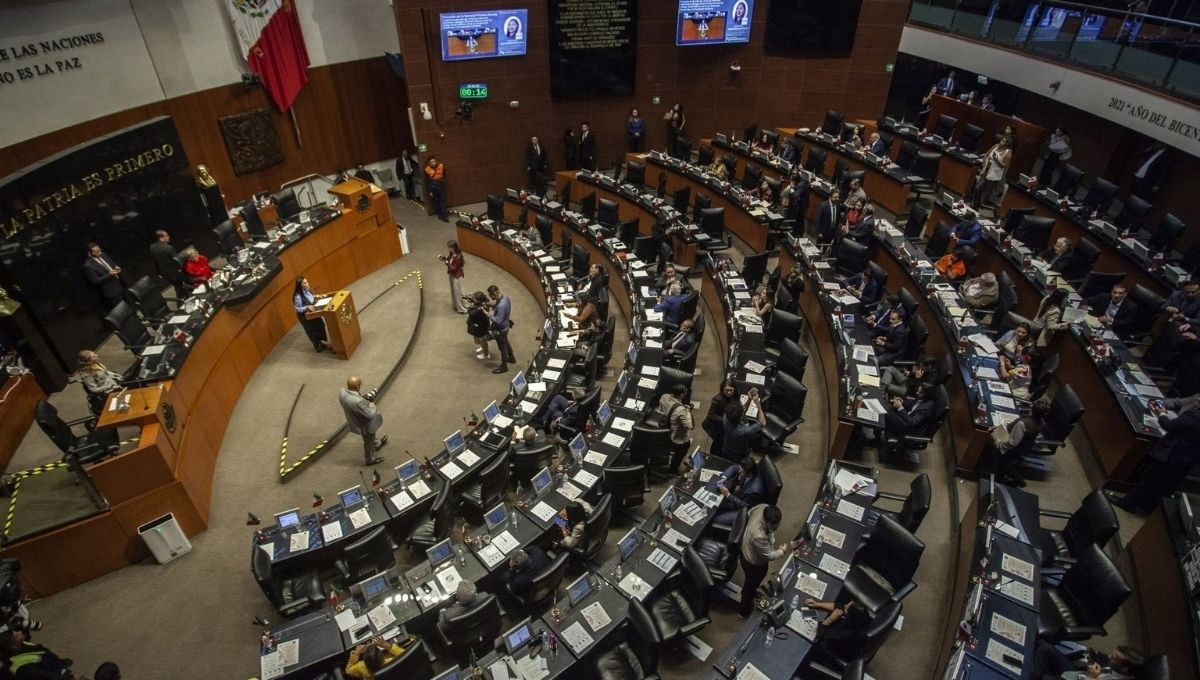La reforma había sido avalada previamente en comisiones del Senado bajo el argumento de fortalecer la propiedad intelectual y combatir usos ilegales