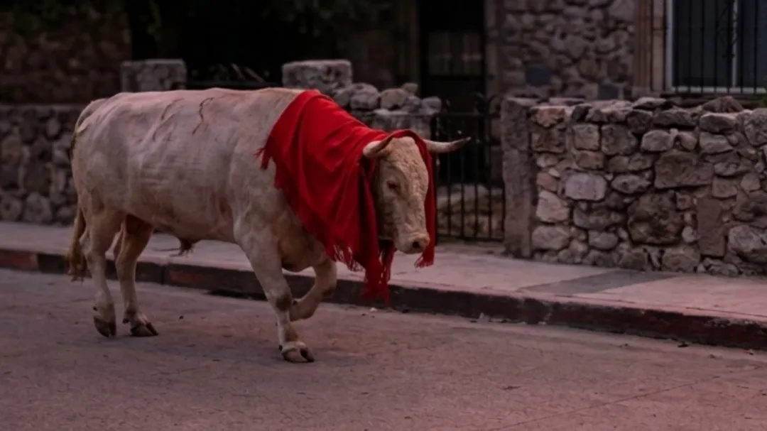 Toro embiste a menor durante fiestas patronales de Umán; video muestra el momento de tensión