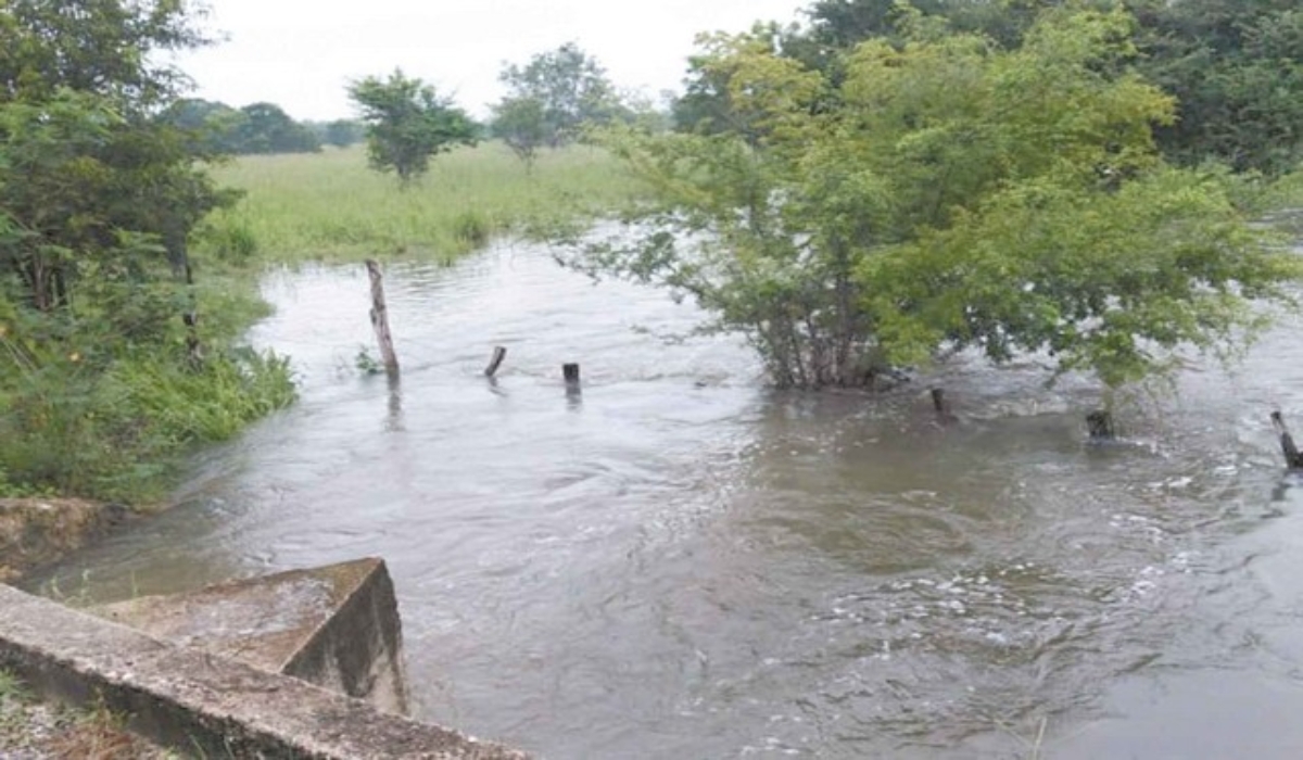 La ciudadanía monitorea los efectos ocasionados por las lluvias. Foto: José Valencia.