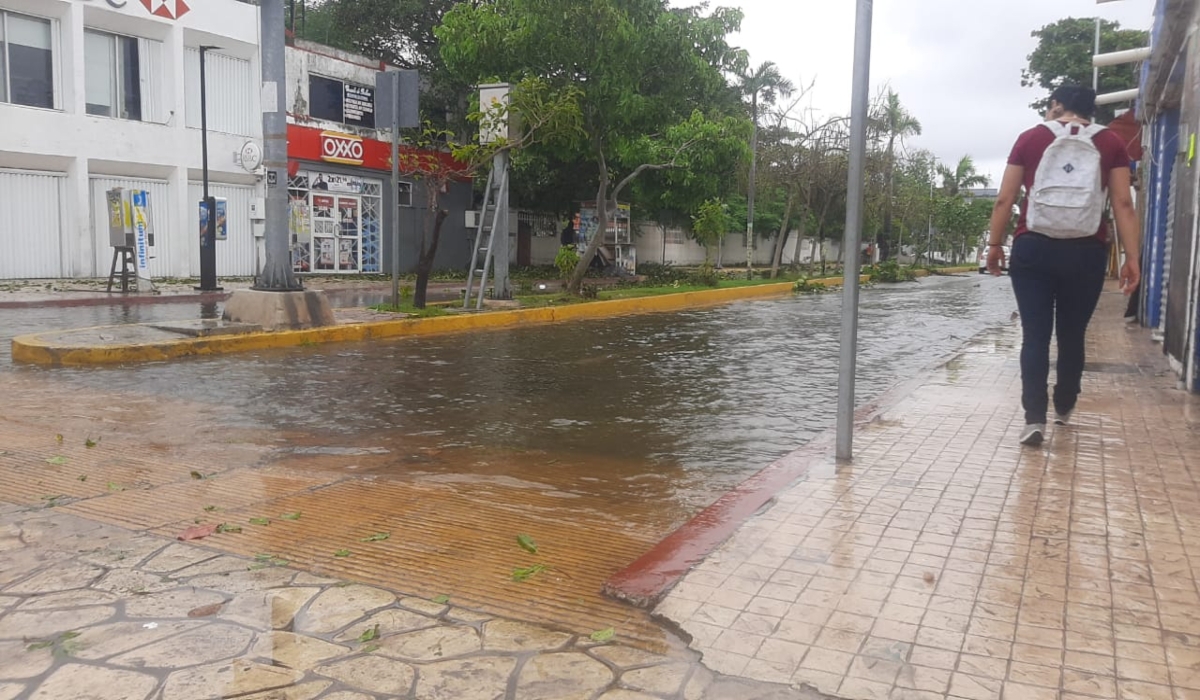 Piden a los pobladores mantener sus patios limpios. Foto: Por Esto!