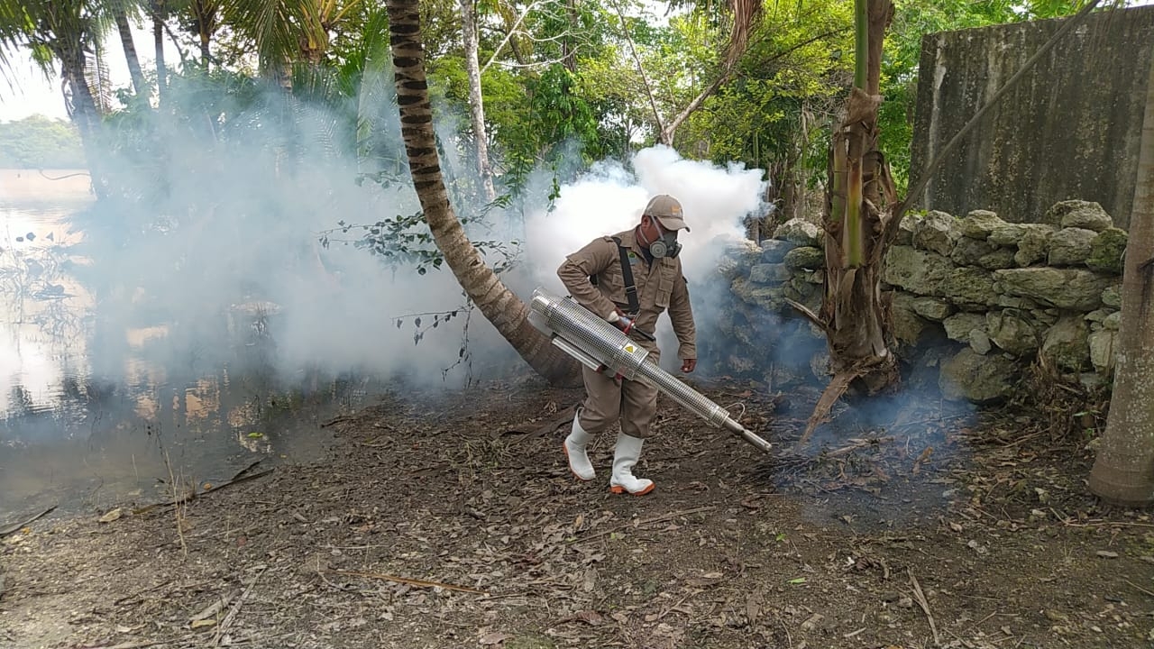 Casos de dengue, sin aumentar en Quintana Roo