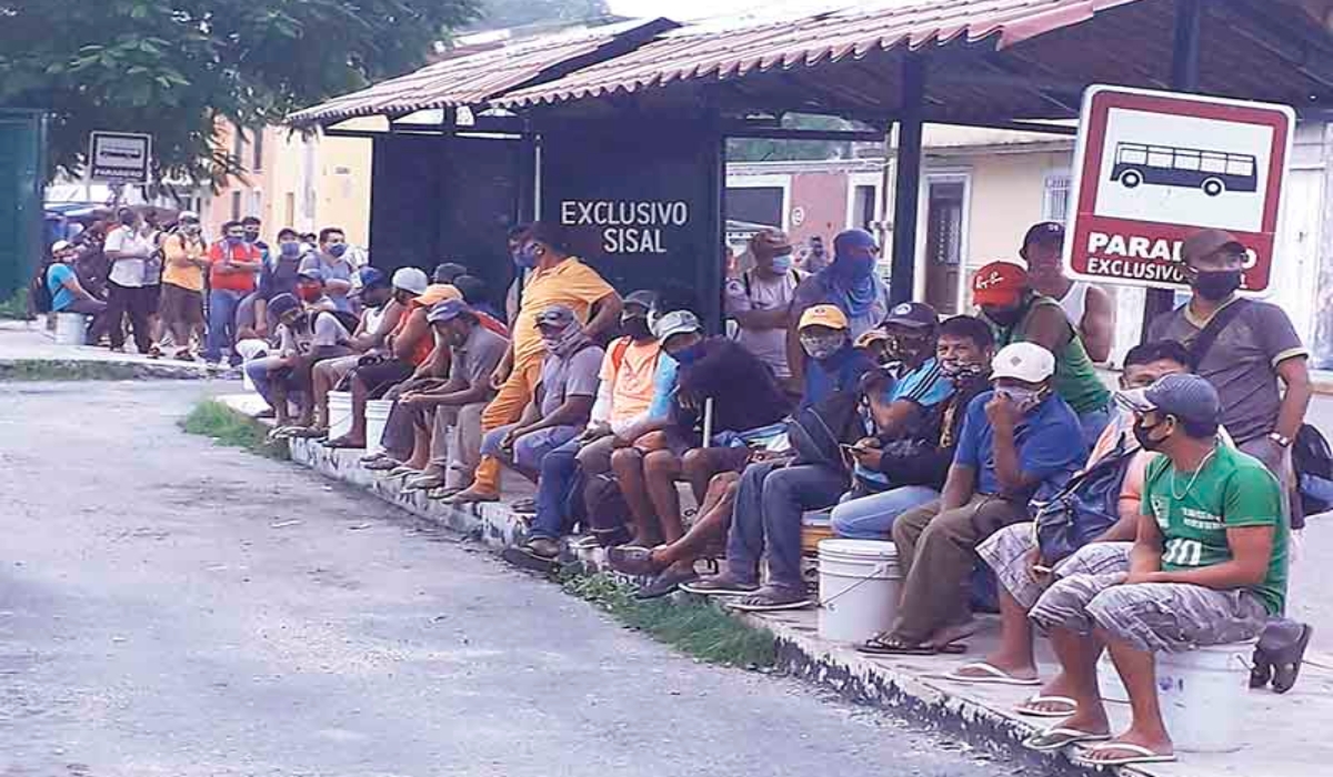 Los pescadores acudieron temprano al sitio donde se estacionan las camionetas de transporte. Foto: Por Esto!