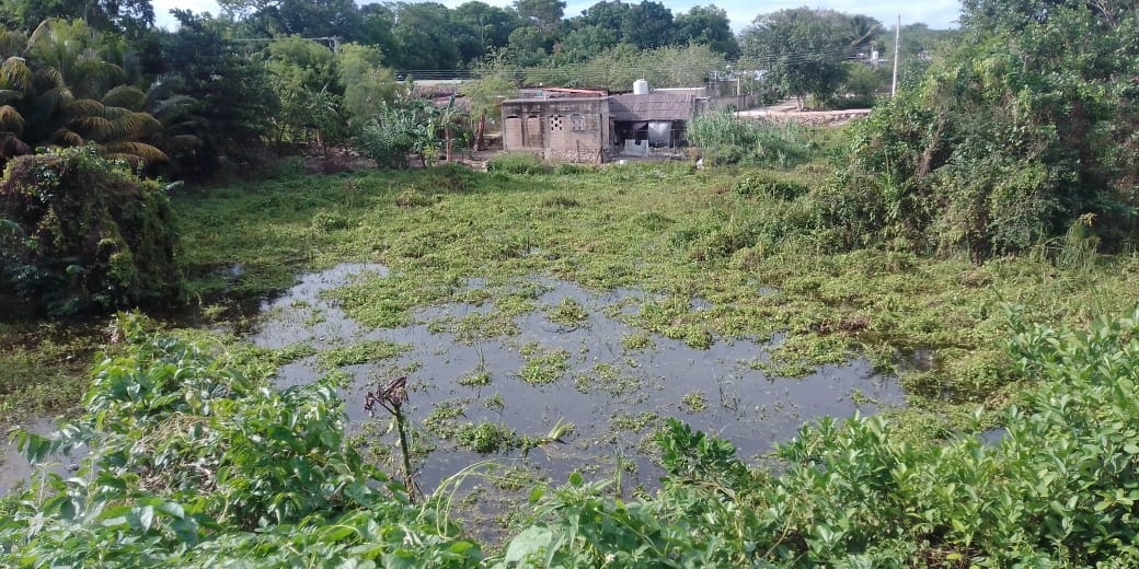 FOTO: Miguel Améndola