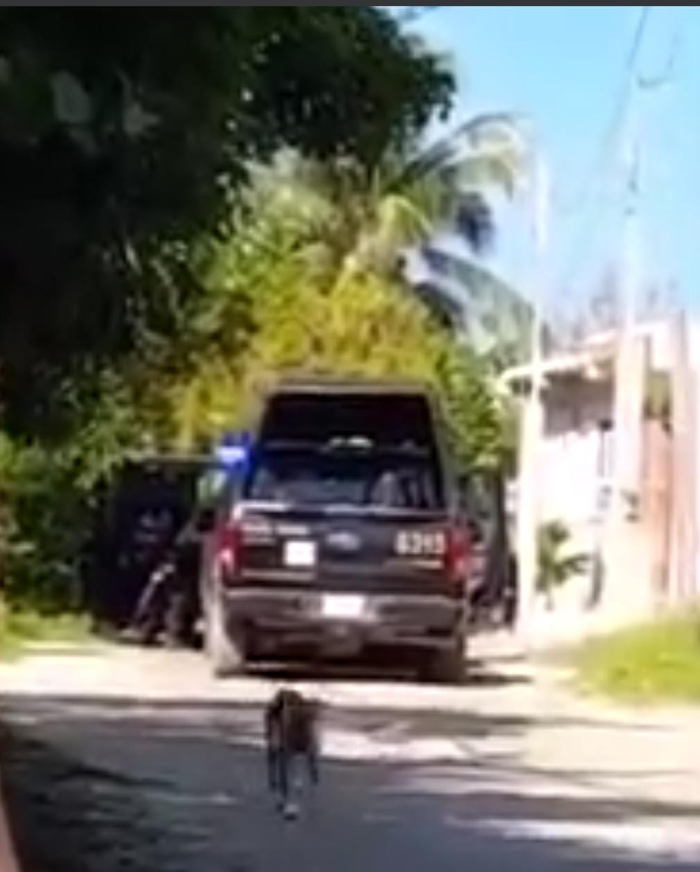 Detienen en Celestún a sujeto que dañó casa en la García Ginerés