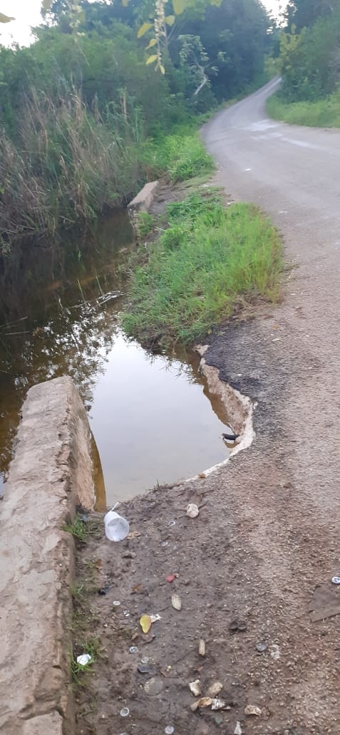 Peligro en carretera de José María Morelos por exceso de agua