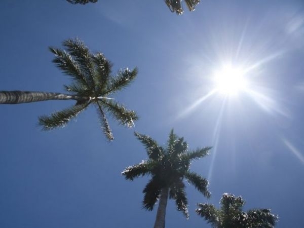 Prevalecerá el ambiente caluroso sobre los estados fronterizos del norte del territorio nacional, así como en la Península de Yucatán Prevalecerá el ambiente caluroso sobre los estados fronterizos del norte del territorio nacional, así como en la Península de Yucatán