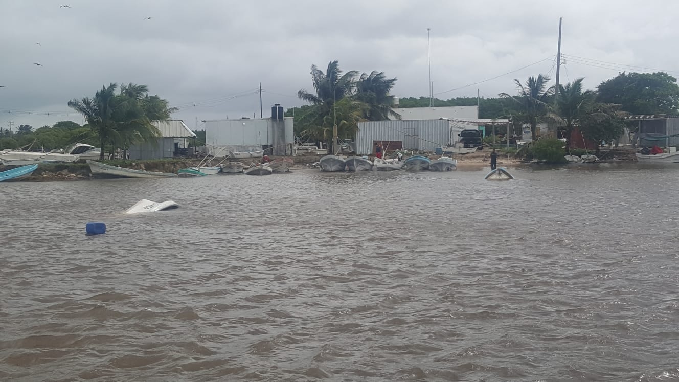 El paso de la Tormenta Tropical Grace en Sisal ha provocado lluvias torrenciales y fuertes vientos