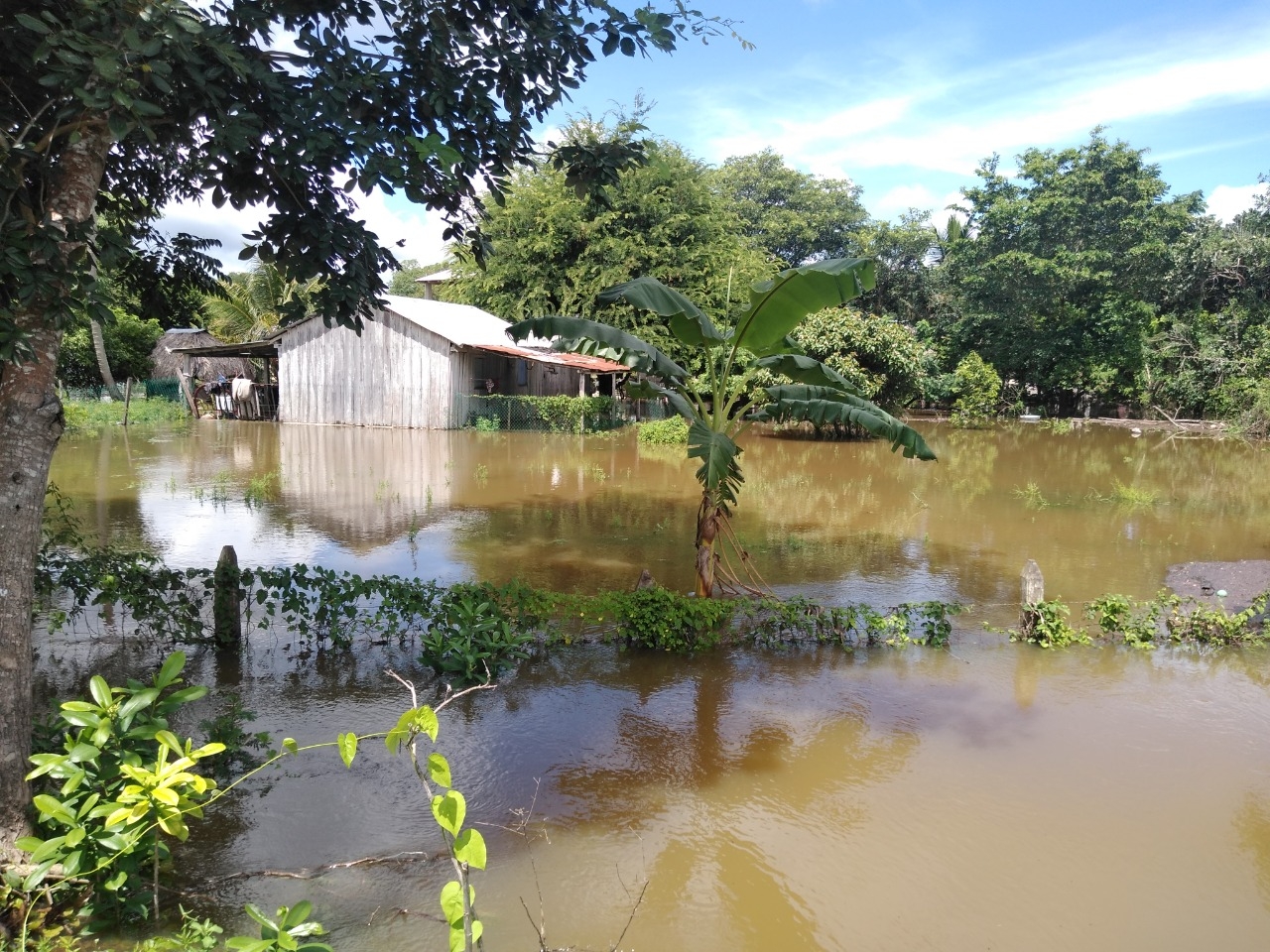 La decisión fue tomada al considerar que los predios eran inhabitables por el momento Foto: Abraham Couó