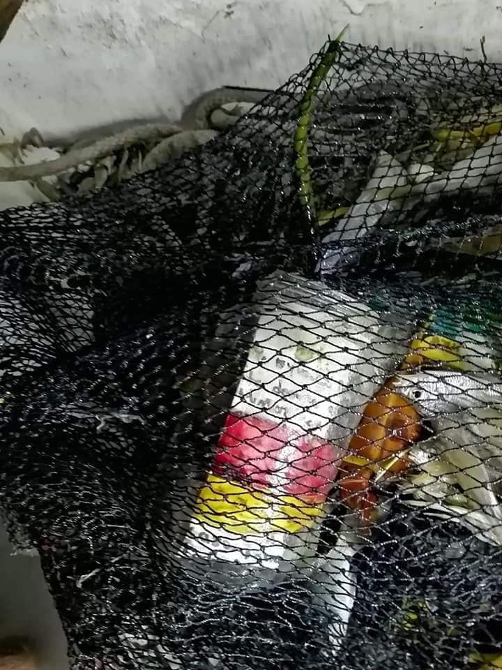 El trabajo fue encontrado por un pescador Foto: Facebook El trabajo fue encontrado por un pescador Foto: Facebook