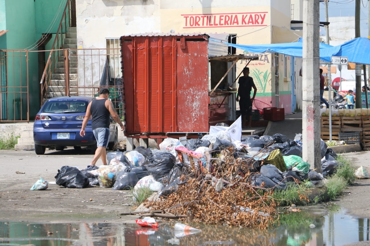 En algunas de estás residencias dónde están ubicados contenedores están a reventar, mientras que donde no los hay, las esquinas o el suelo es propicio para el almacenamiento de los desechos. Foto: Erick Marfil
En algunas de estás residencias dónde están ubicados contenedores están a reventar, mientras que donde no los hay, las esquinas o el suelo es propicio para el almacenamiento de los desechos. Foto: Erick Marfil