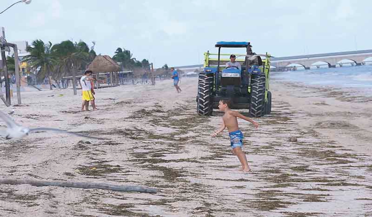 Prestadores de servicios confían en que lleguen más paseantes en diciembre. Foto: Cuauhtémoc Moreno.