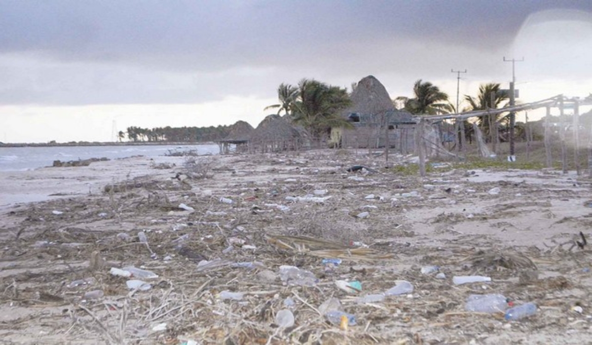 Botellas, bolsas, algas y sargazo cubren la arena. Foto: Jorge Jiménez.