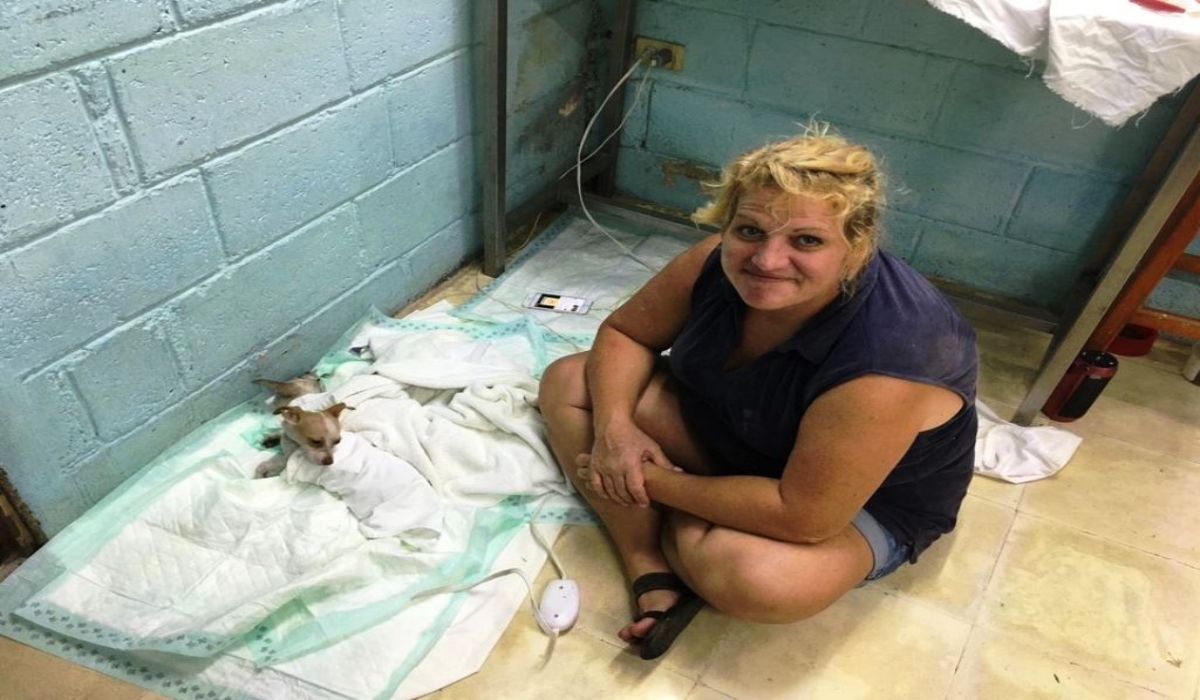 La SHC implementa la campaña de esterilización de manera gratuita en Cozumel. Foto: Karina Carrión.