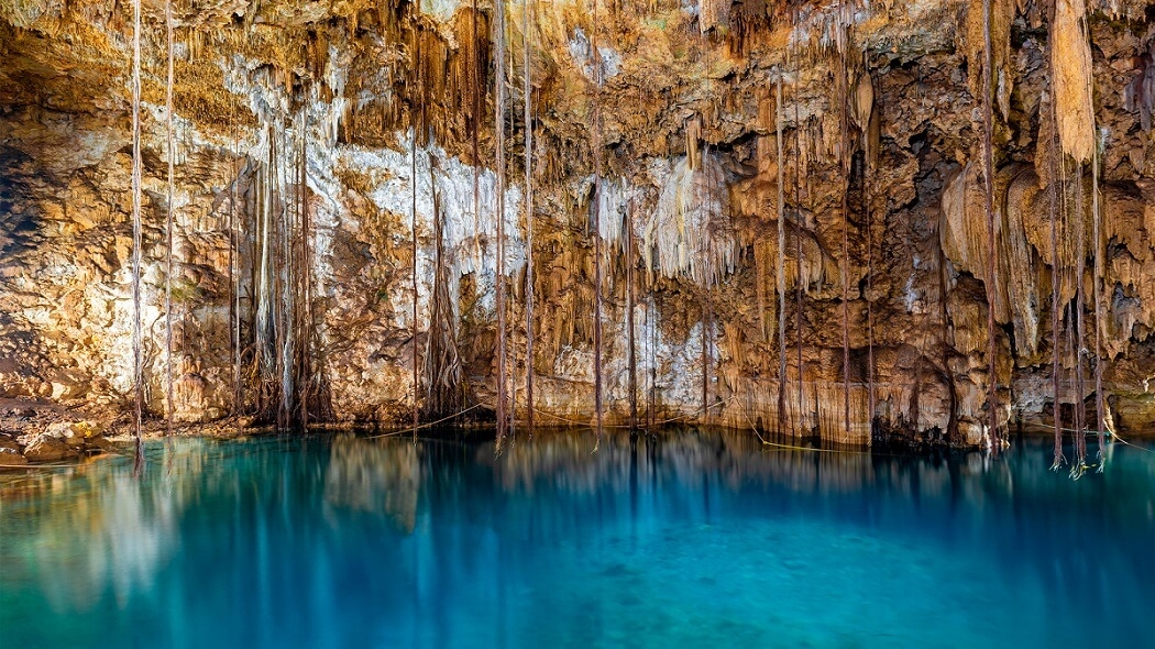 Las especies son fundamentales para la preservación de los ecosistemas en las cuevas indicaron los investigadores Las especies son fundamentales para la preservación de los ecosistemas en las cuevas indicaron los investigadores