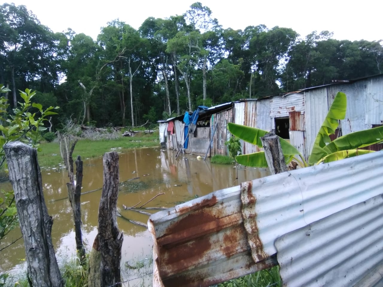 FOTOS: Fernando Kantún