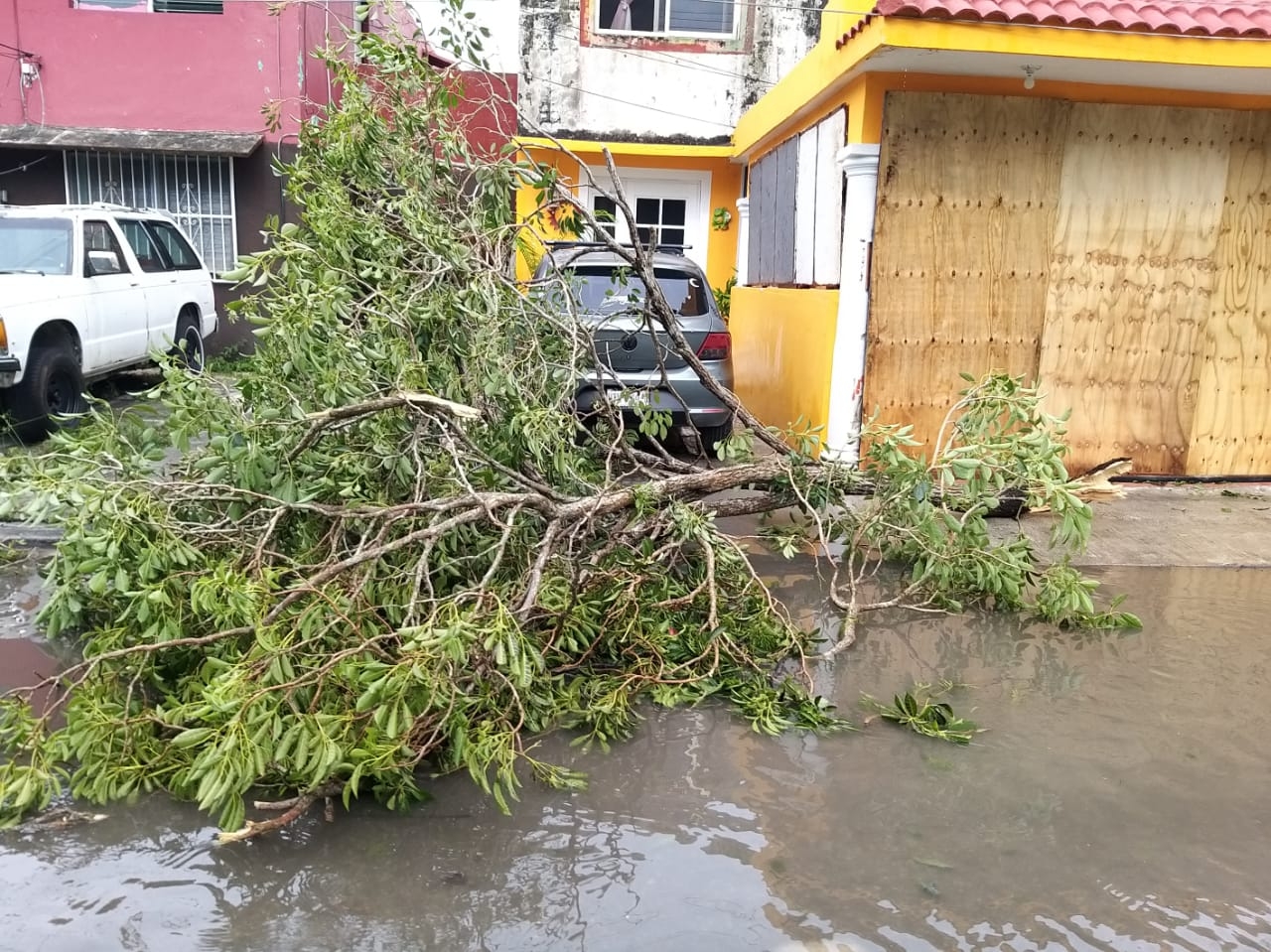 Los daños en su mayor parte fueran árboles caídos, tinglados, señalización que no estaba bien fijada. Foto: Gabriel Aguilar Los daños en su mayor parte fueran árboles caídos, tinglados, señalización que no estaba bien fijada. Foto: Gabriel Aguilar
