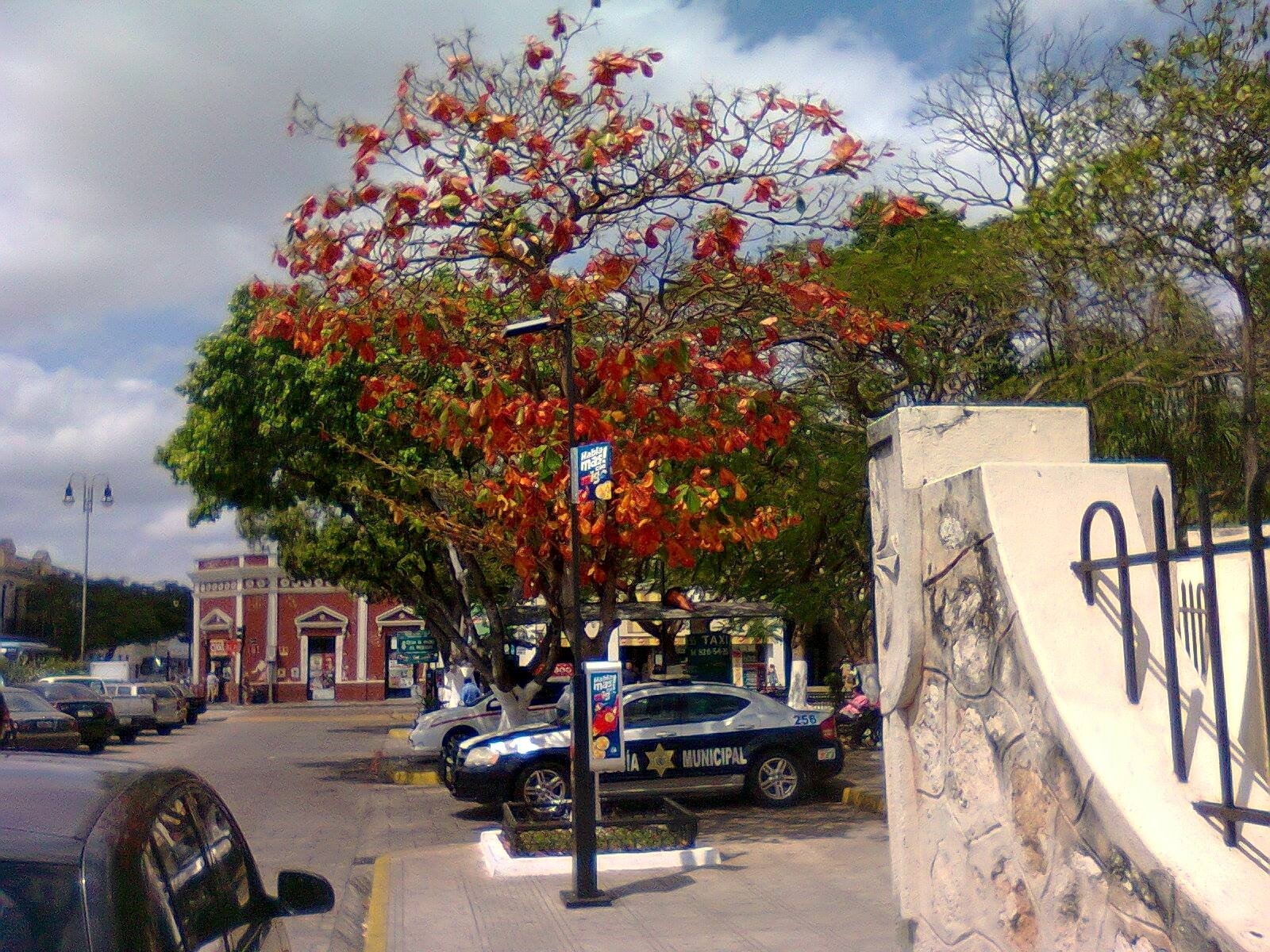 FOTO: Especial