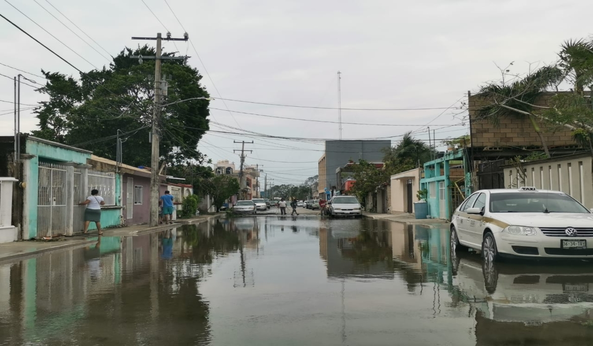 Las rachas de viento ocasionaron un paisaje de árboles y ramas caídos por todo el municipio. Foto: Brian Lara. Las rachas de viento ocasionaron un paisaje de árboles y ramas caídos por todo el municipio. Foto: Brian Lara.