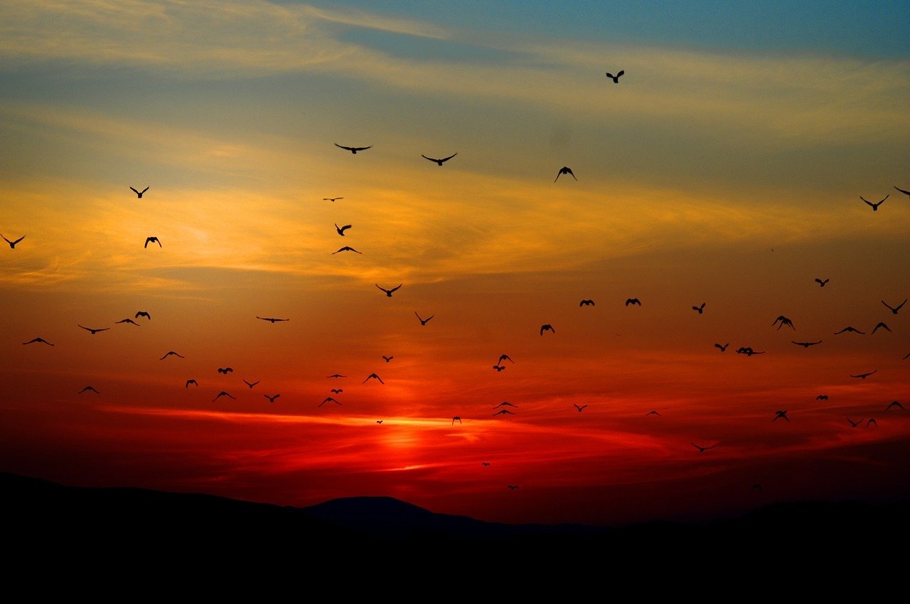 Foto: Pixabay Foto: Pixabay