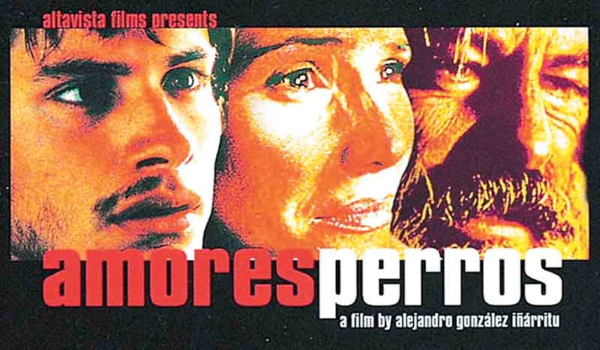 Cine para todos en el FICM