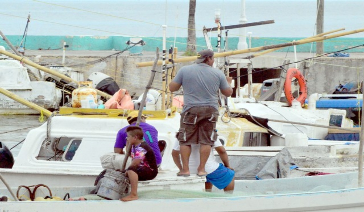 Los hombres de mar informaron que las ganancias de este año son menores a las del 2019. Foto: Lucio Blanco.